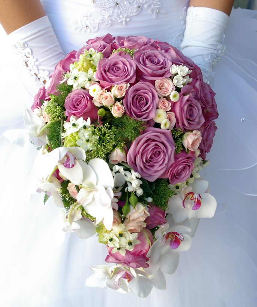 ホームページをオープンしました！